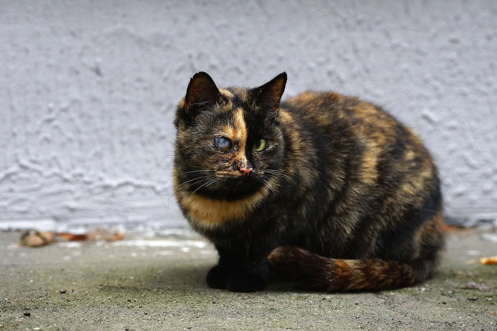 Photograph by Алёна Алешкевич