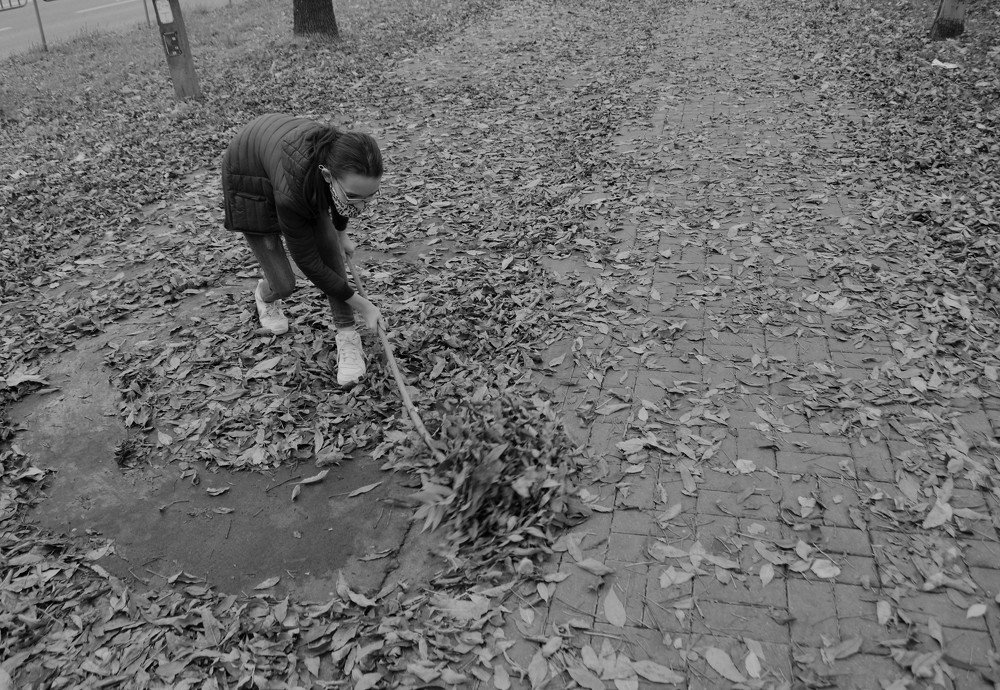 Photograph by Patrycja