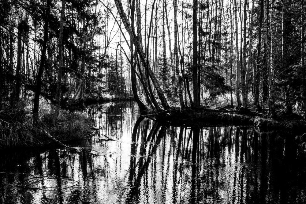 Photograph by Вадим Кондрат