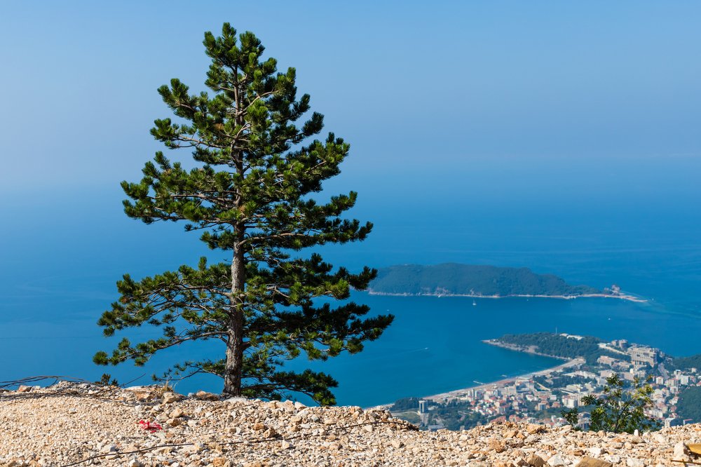 Photograph by Анастасия Васина