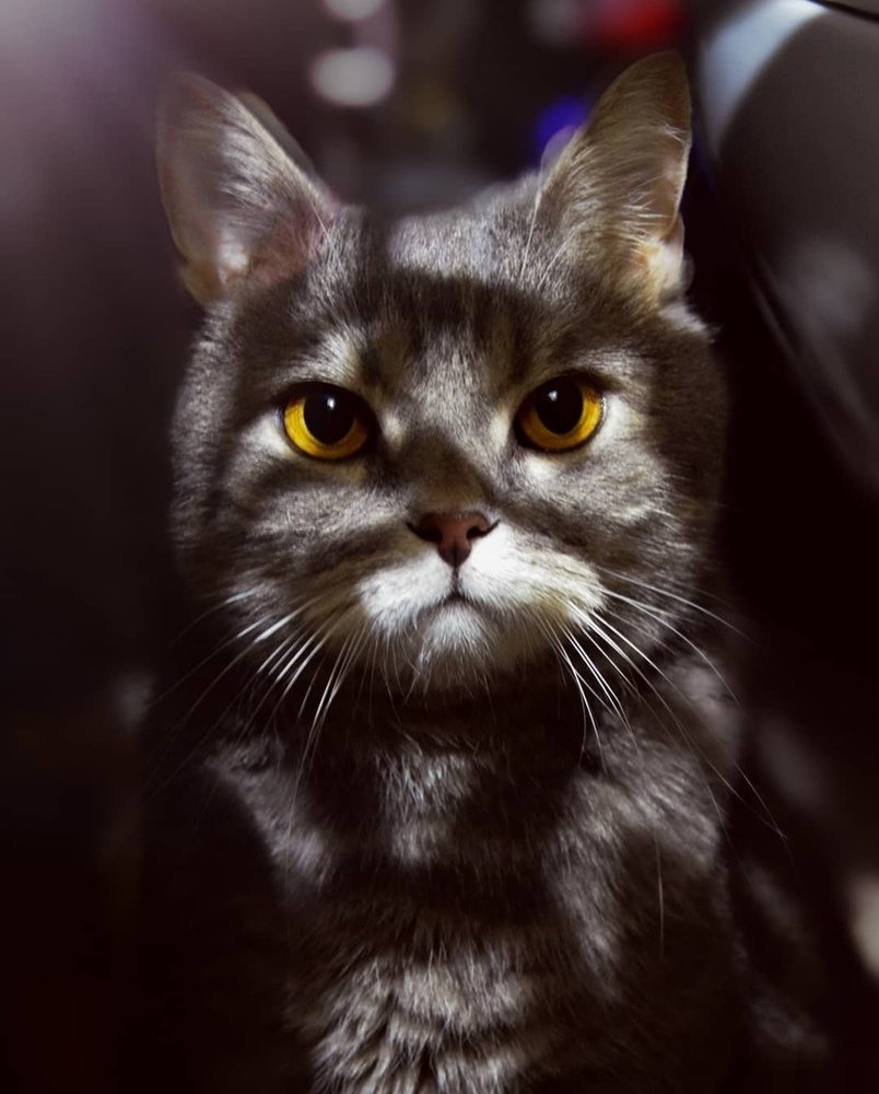 Photograph by Алиса Бочарова