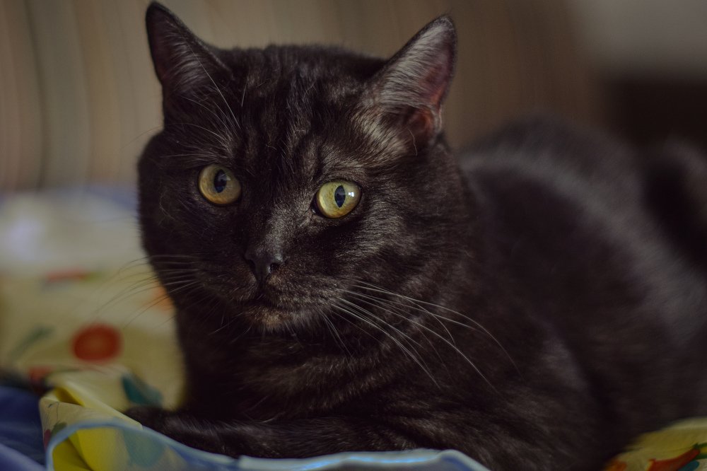 Photograph by Алиса Бочарова