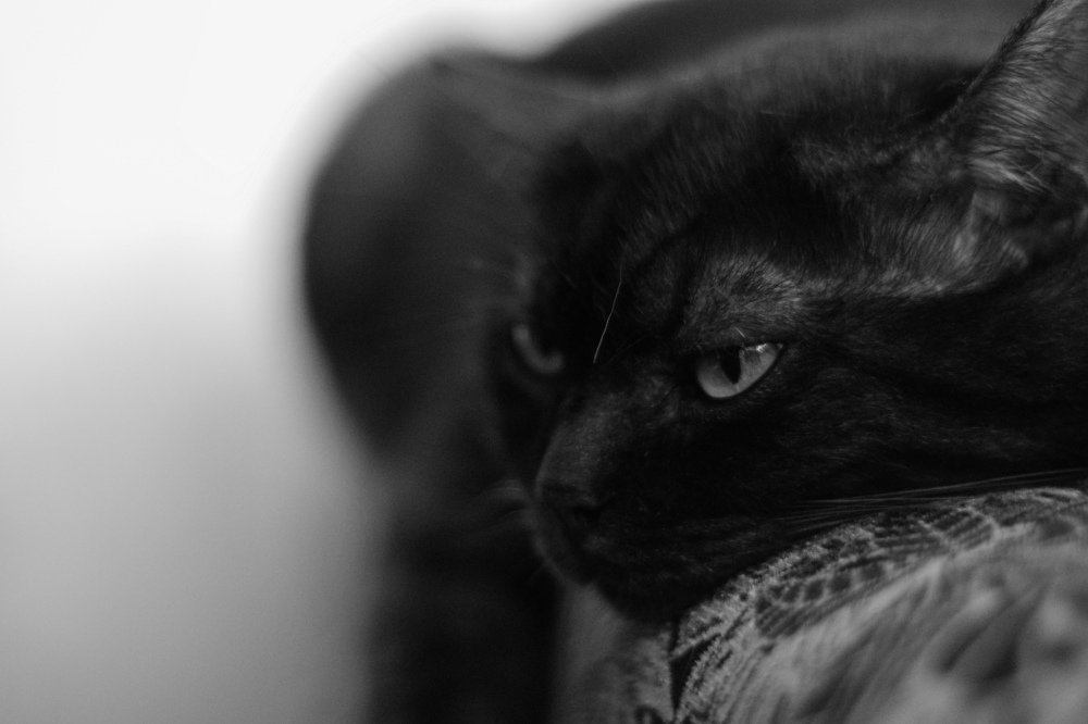 Photograph by Алиса Бочарова