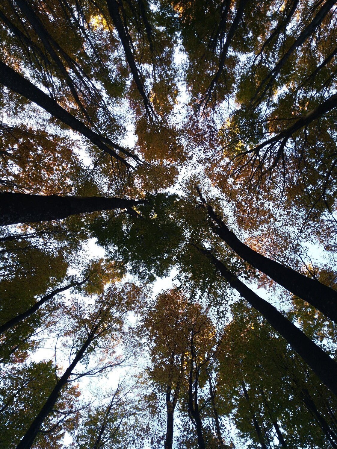 Осень