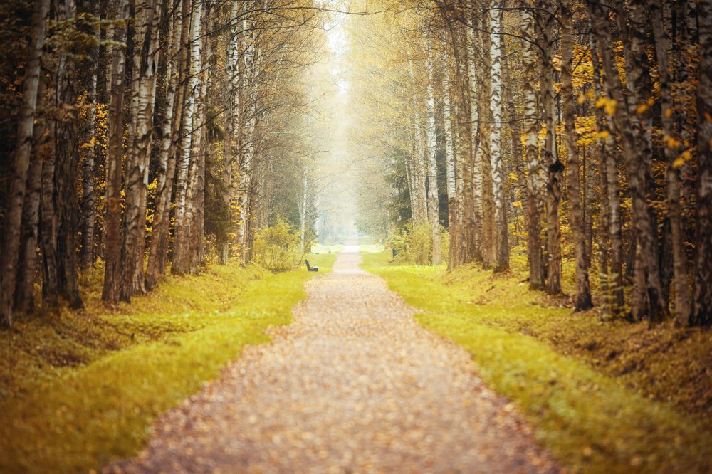 Фотография автора Михаил Балаев