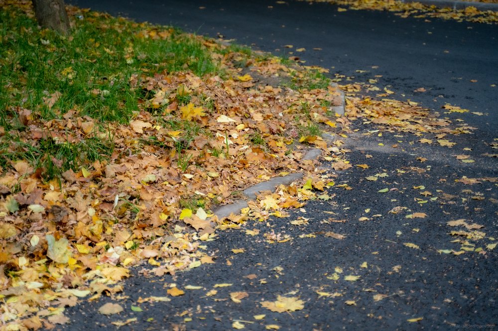 Photograph by Alexander Popov