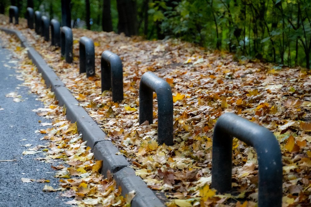 Photograph by Alexander Popov