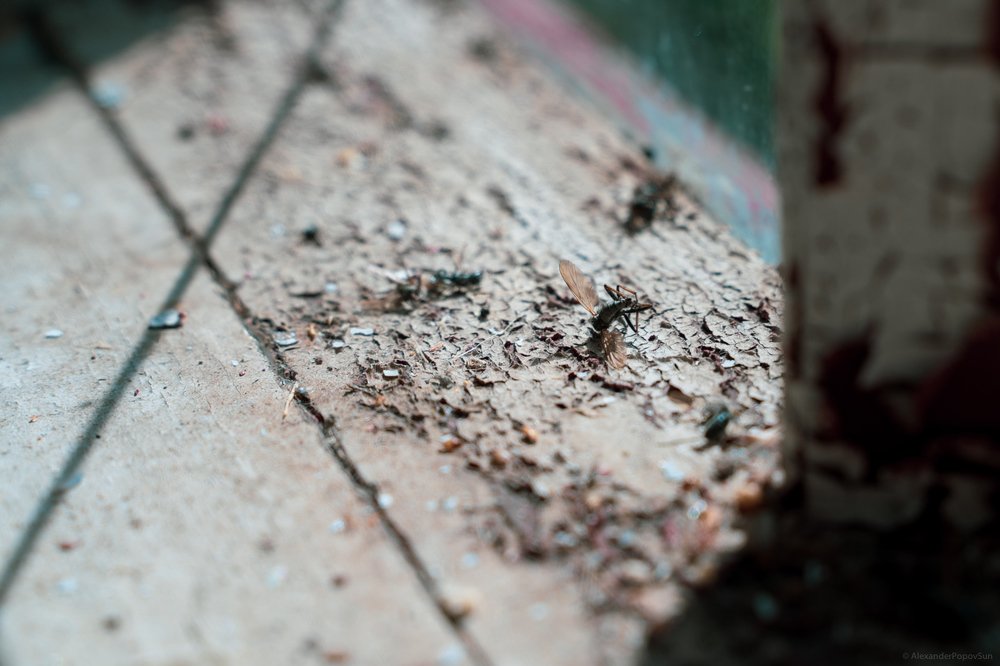 Photograph by Alexander Popov