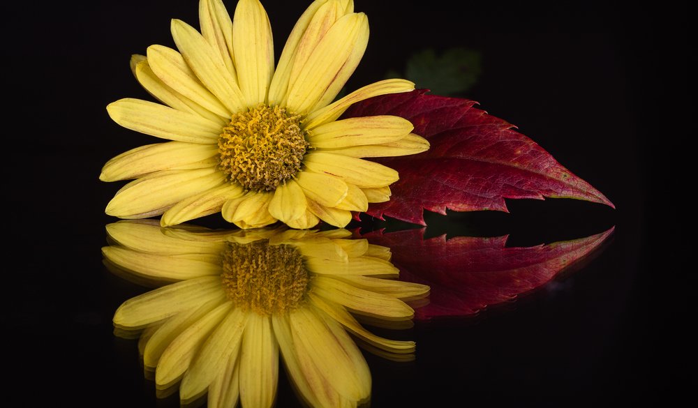 Photograph by Oleksandr Sanin