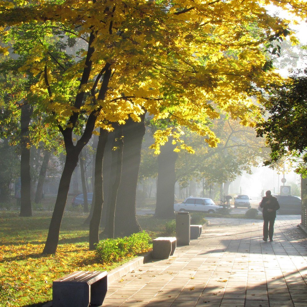 Photograph by Ірина Дрок