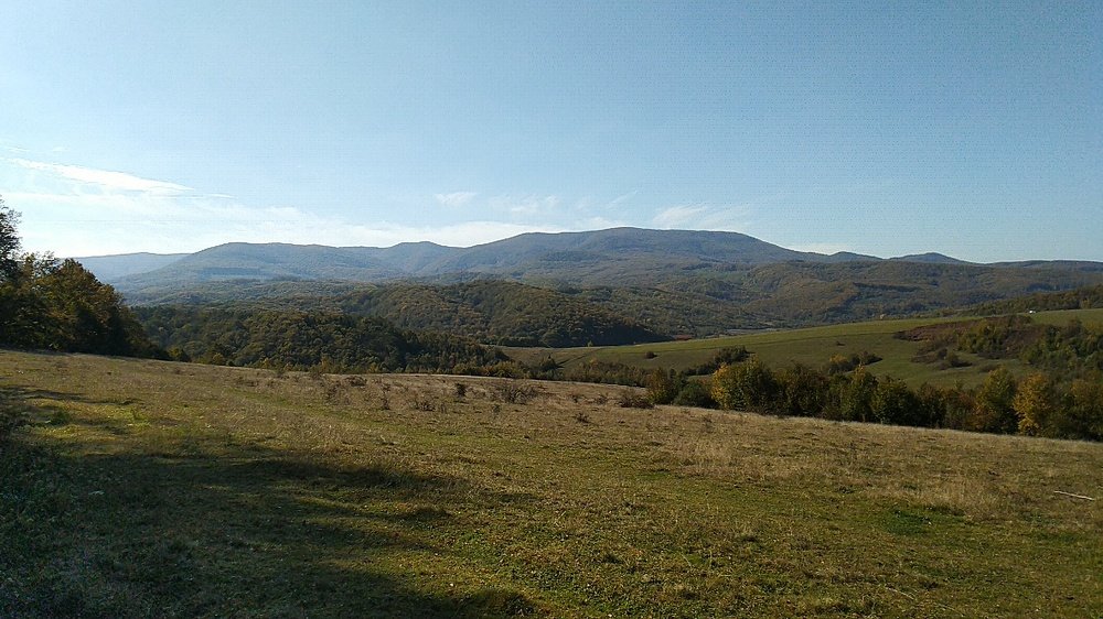 Photo #5168567