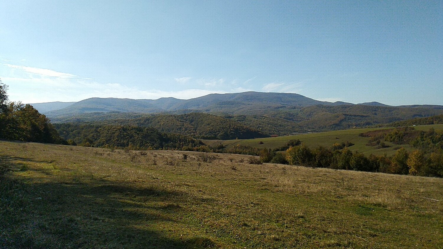 Photo #5168567
