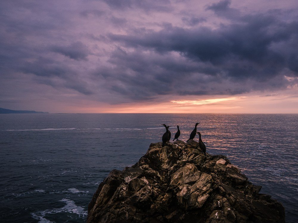 Photograph by Kuba Błaszczok