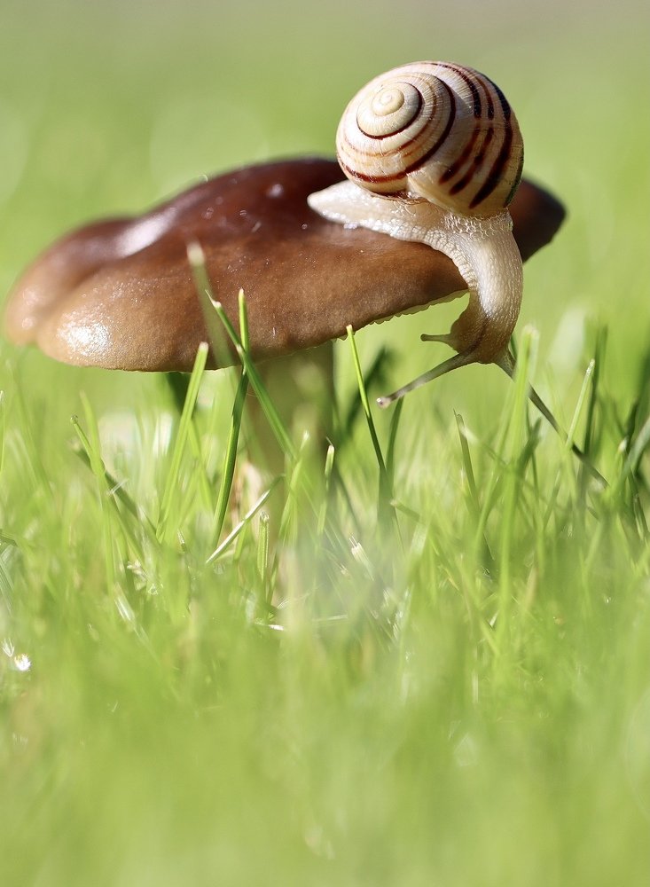 Photograph by Малика Маткарим