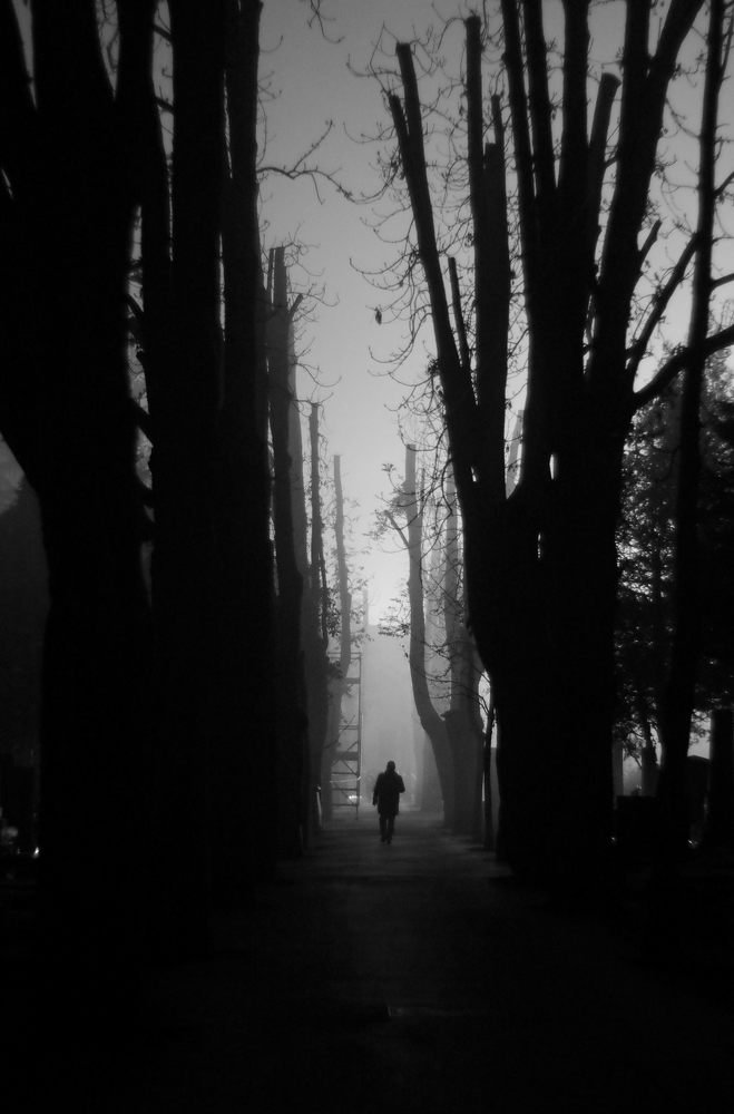 Photograph by Damir Gržin