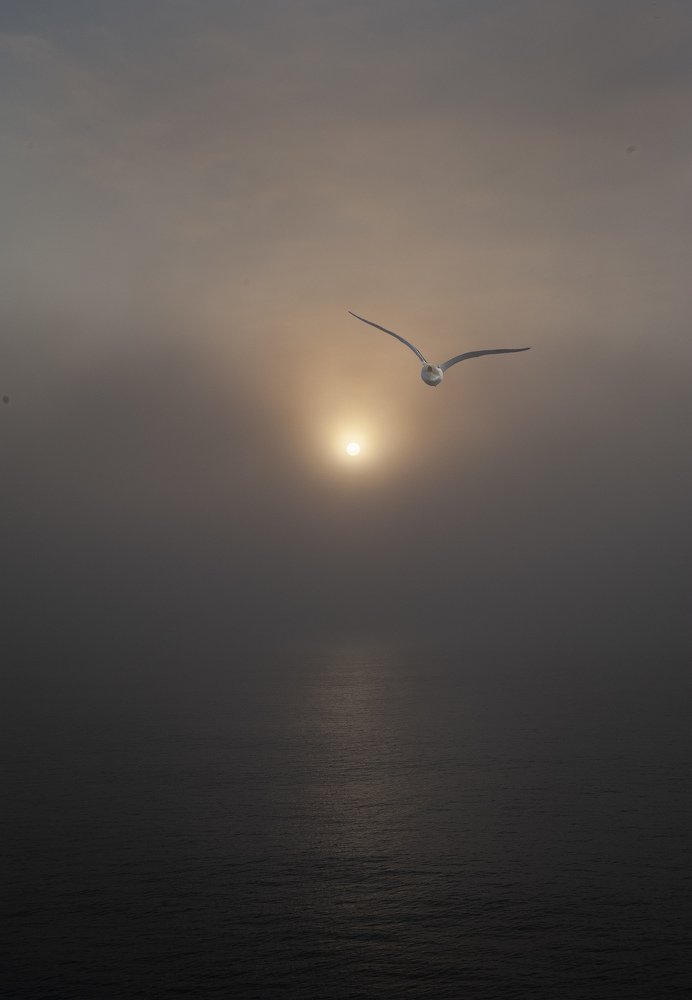 Photograph by Сергей Иванов