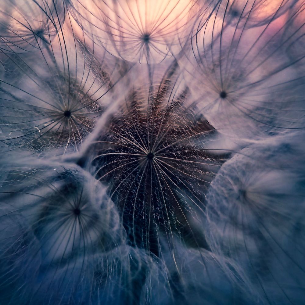 Photograph by Наталья Стальмакова