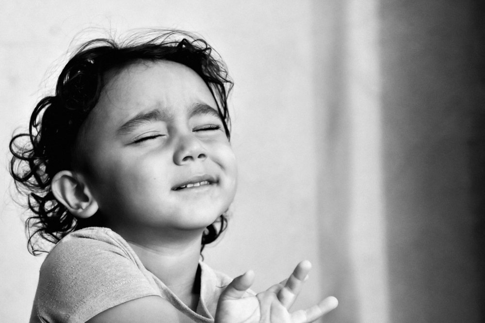 Photograph by Fabian Eder