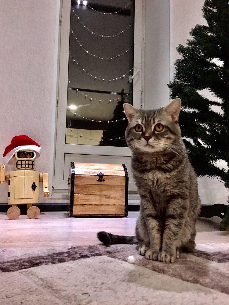 Photograph by Евгения Ципрук