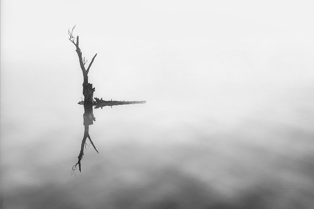 Photograph by Martin Kucera