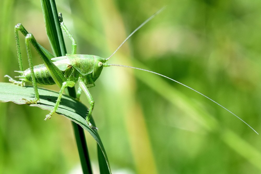 Фотография автора Anne Moginier