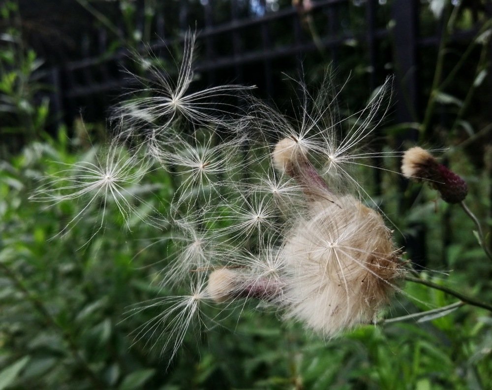Photograph by Анна Артёменко