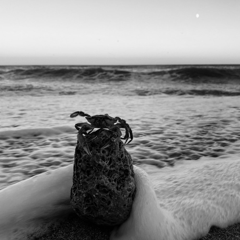 Photograph by Евгений Новицкий