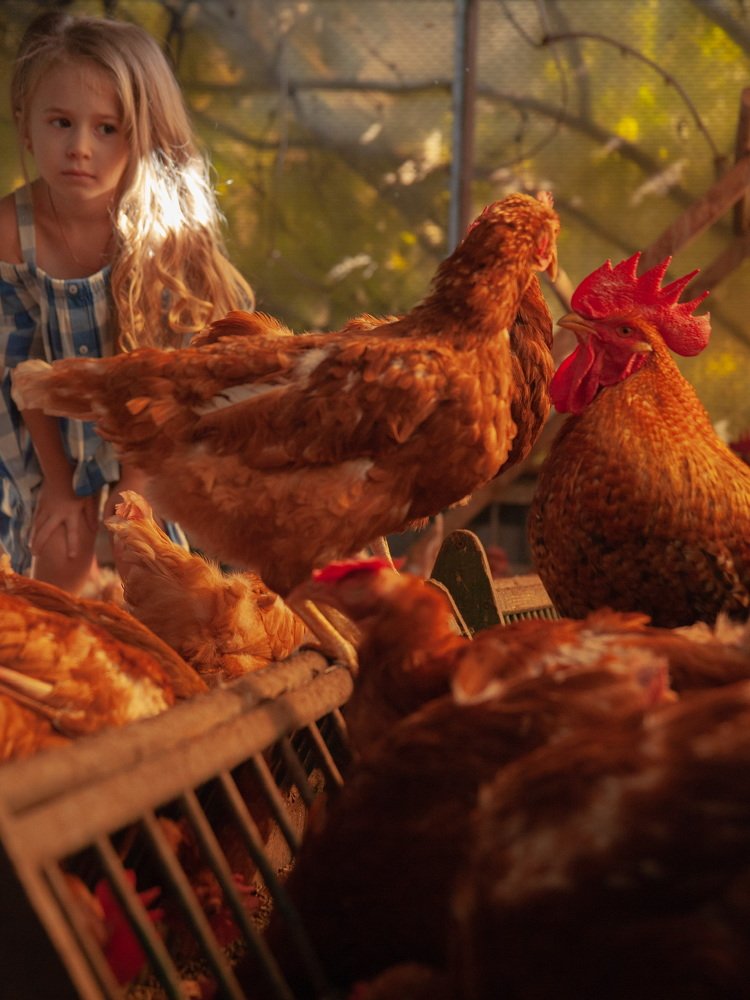 Photograph by Евгений Новицкий