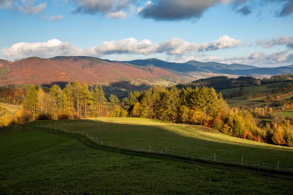 Photograph by Marcin Mirek