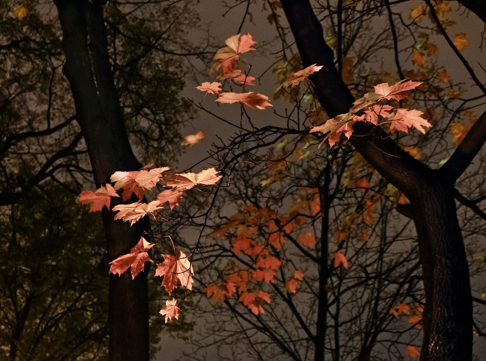 Photograph by Ольга Виноградова