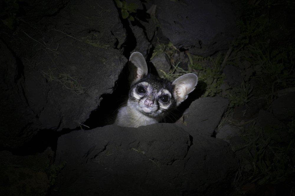 Photograph by Tamara Maria Blazquez Haik