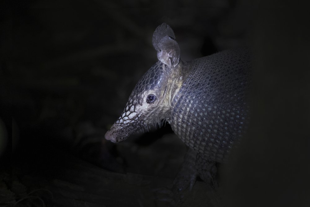 Photograph by Tamara Maria Blazquez Haik