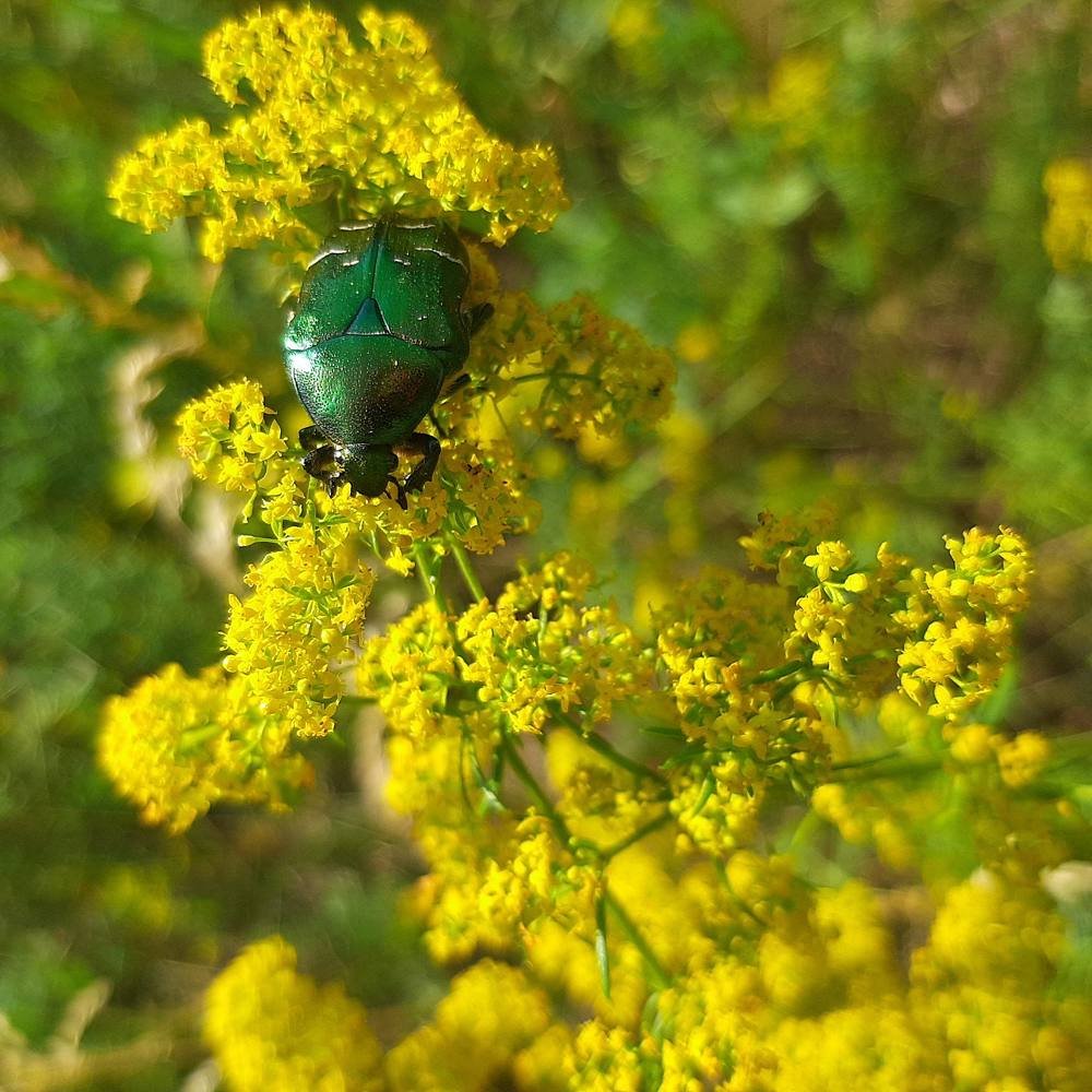 Photograph by Дарина Присекина