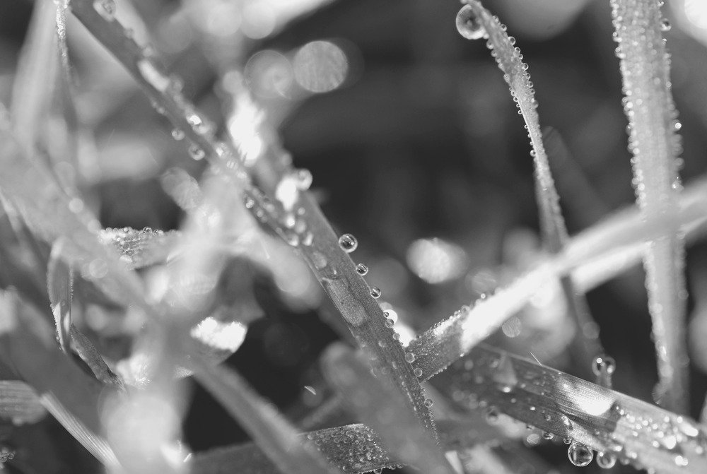 Photograph by Оксана Трофименко