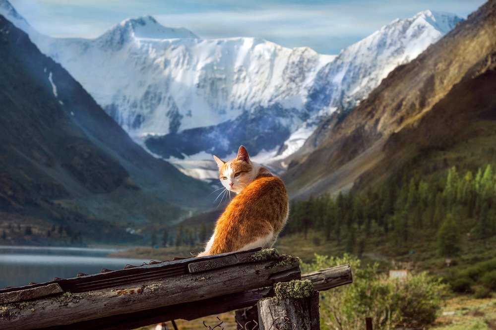 Photograph by Тамара Андреева