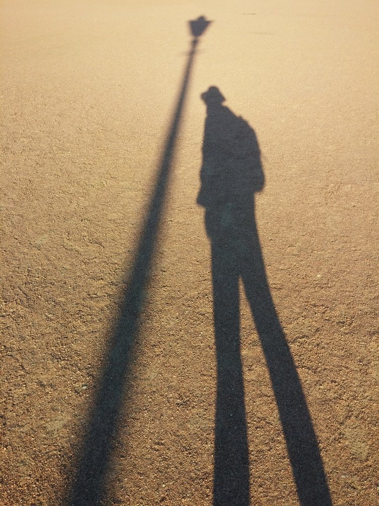 Photograph by Елена Амосова