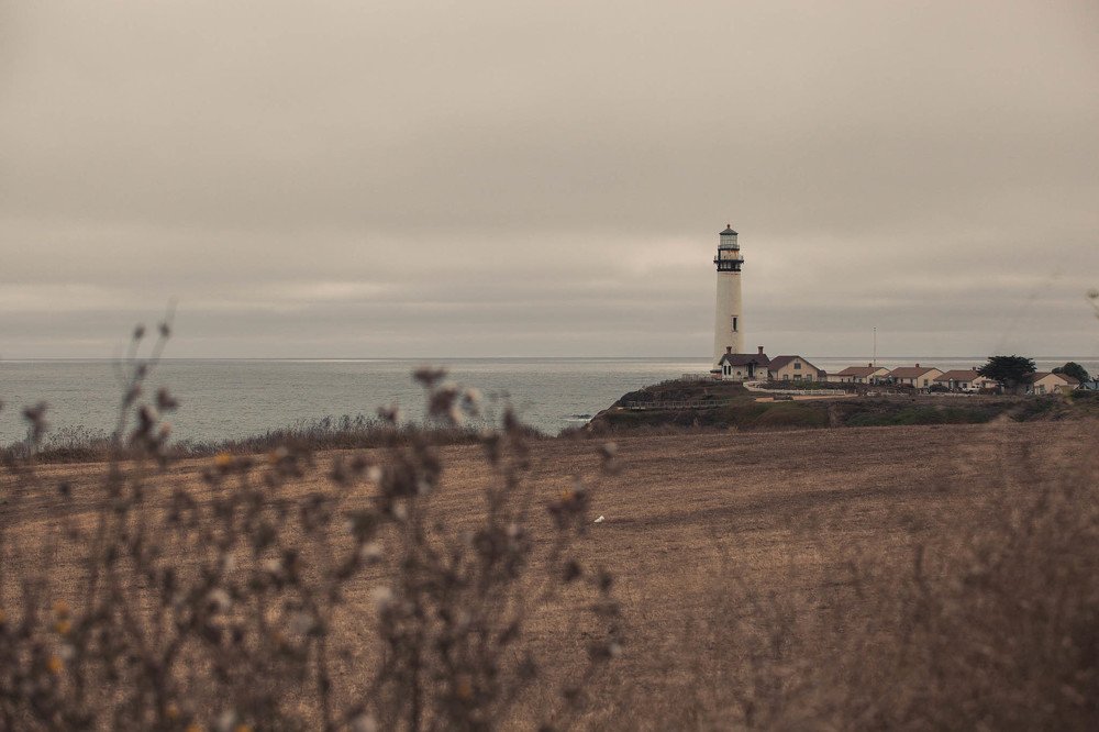 Photograph by Amalya Shandelman