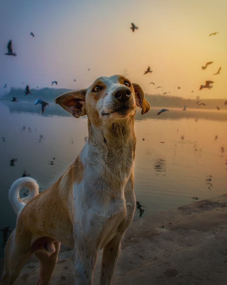 Photograph by Prabhat Vashisht