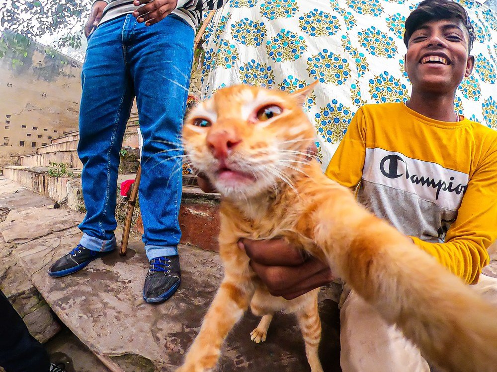 Photograph by Prabhat Vashisht