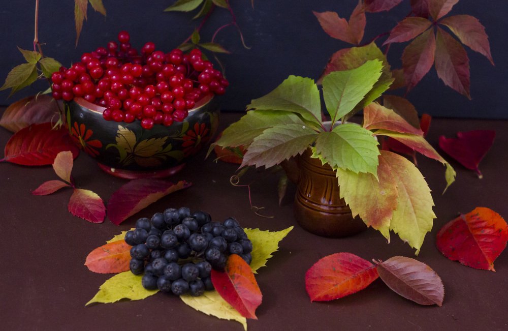 Photograph by Anna Gapanovich