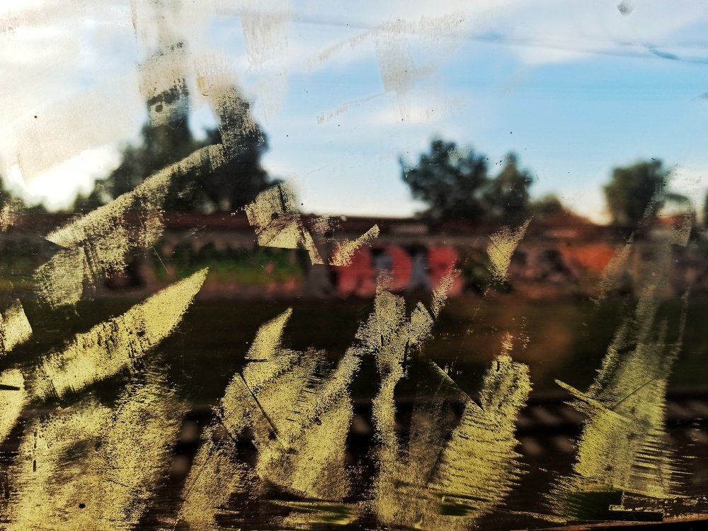 Photograph by Юлия Гришина