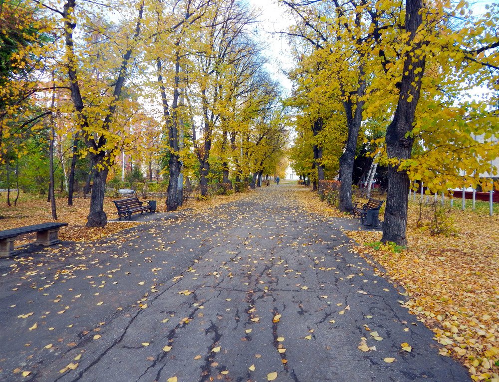 Фотография автора Валерий Цуркан
