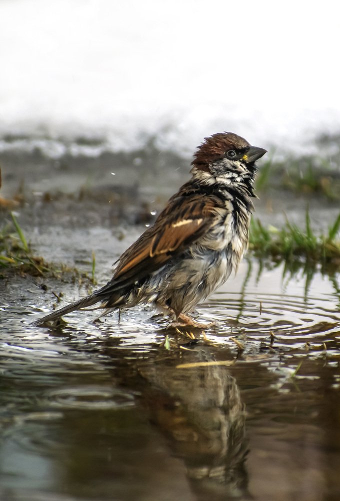 Photograph by Margarita