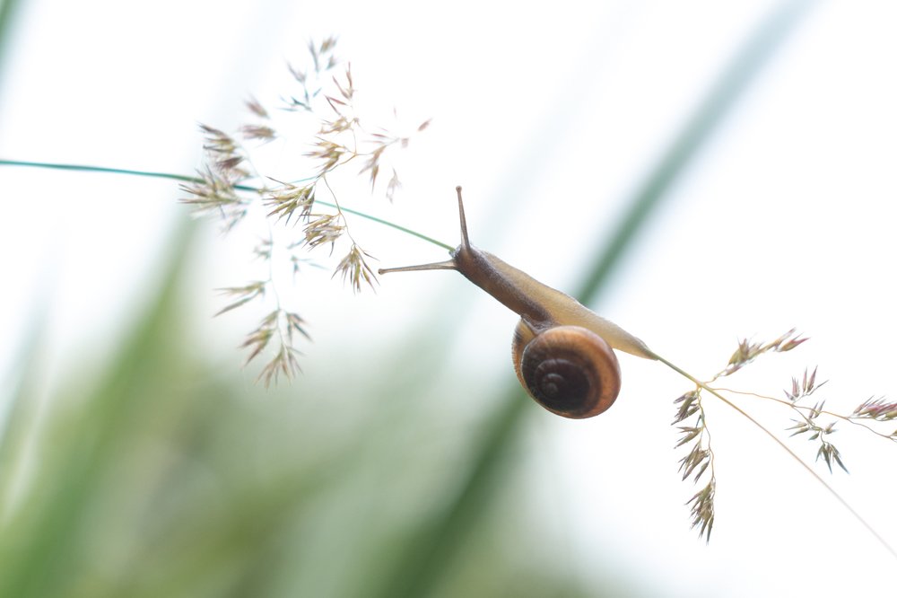 Photograph by Елена Абдураманова