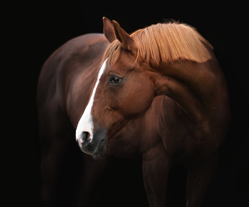 Photograph by Василиса Штапакова