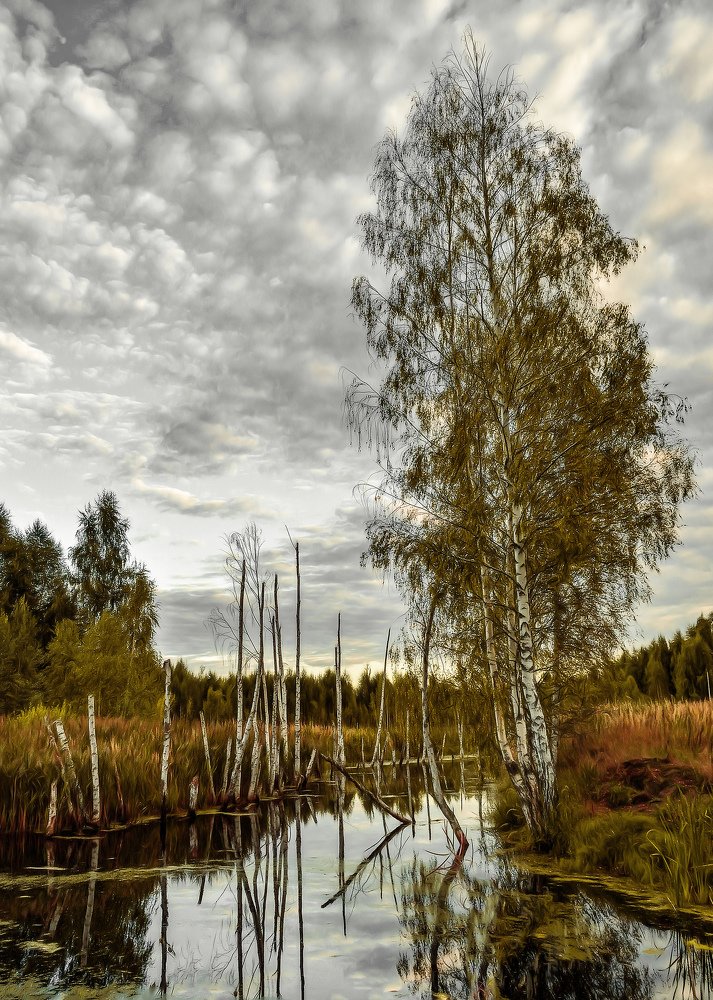 Photograph by Margarita