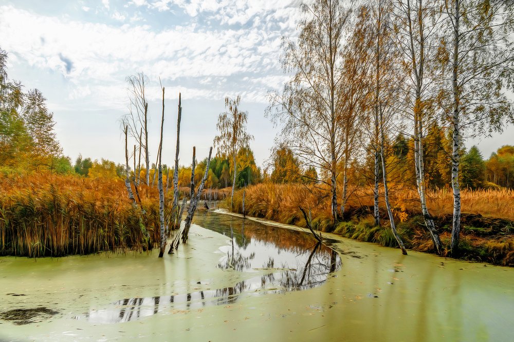 Photograph by Margarita