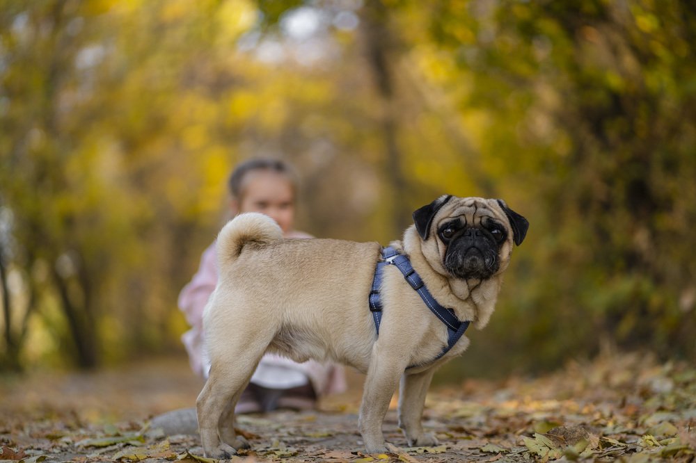 Фотография автора Sherry Igam
