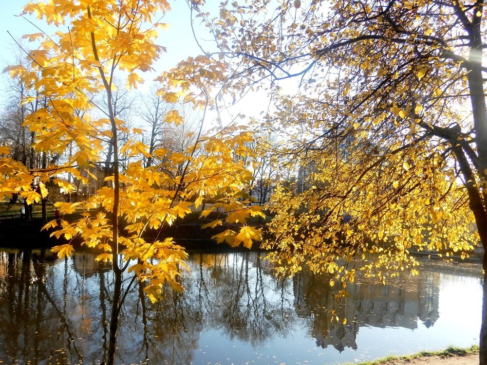 Photograph by Татьяна Красавцева