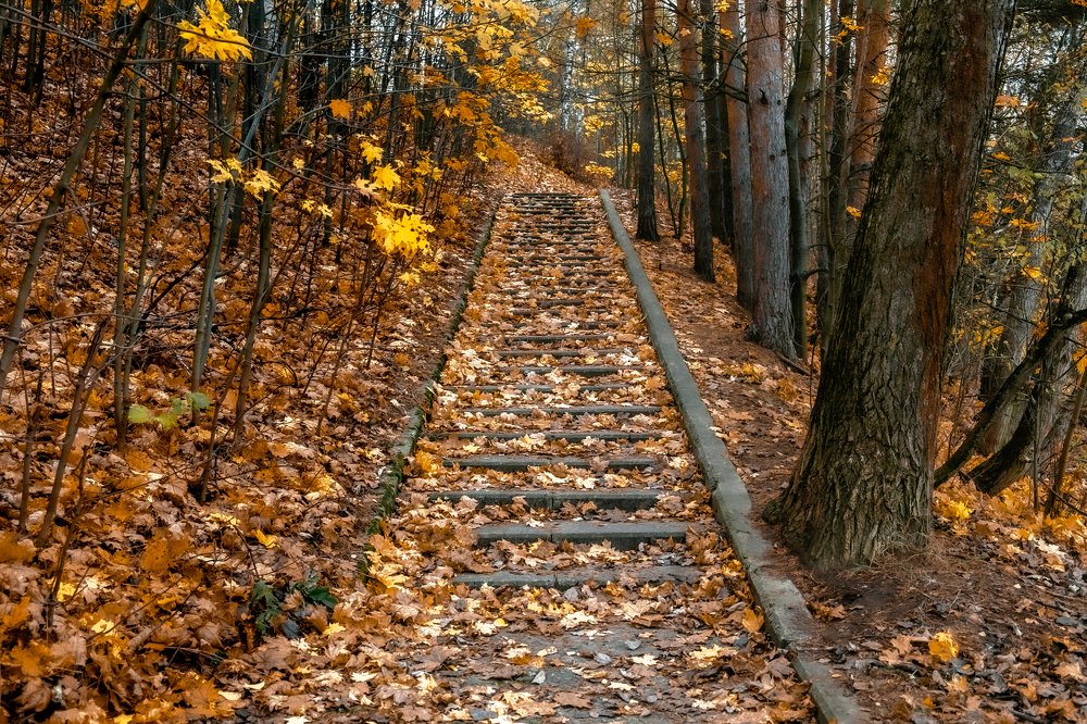 Photograph by Анатолий Асеев